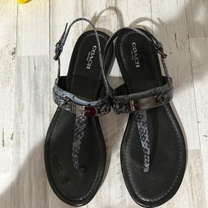 Coach blue snake skin sandals